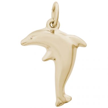 Rembrandt 14k Gold Dolphin Charm